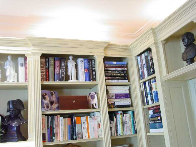 2784DonuBcseRetnDtal500